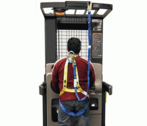 safety harness and lanyard